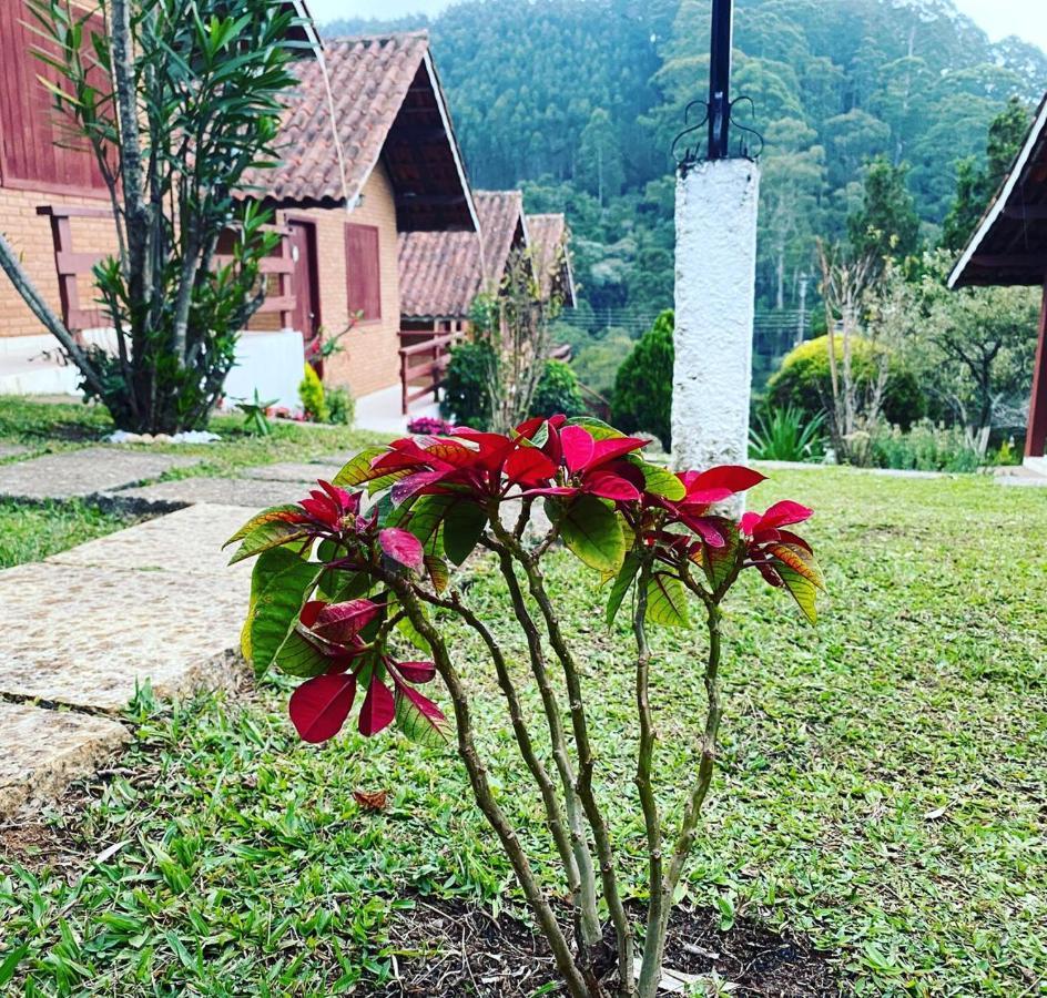 Chales Encantus Villa Monte Verde  Buitenkant foto